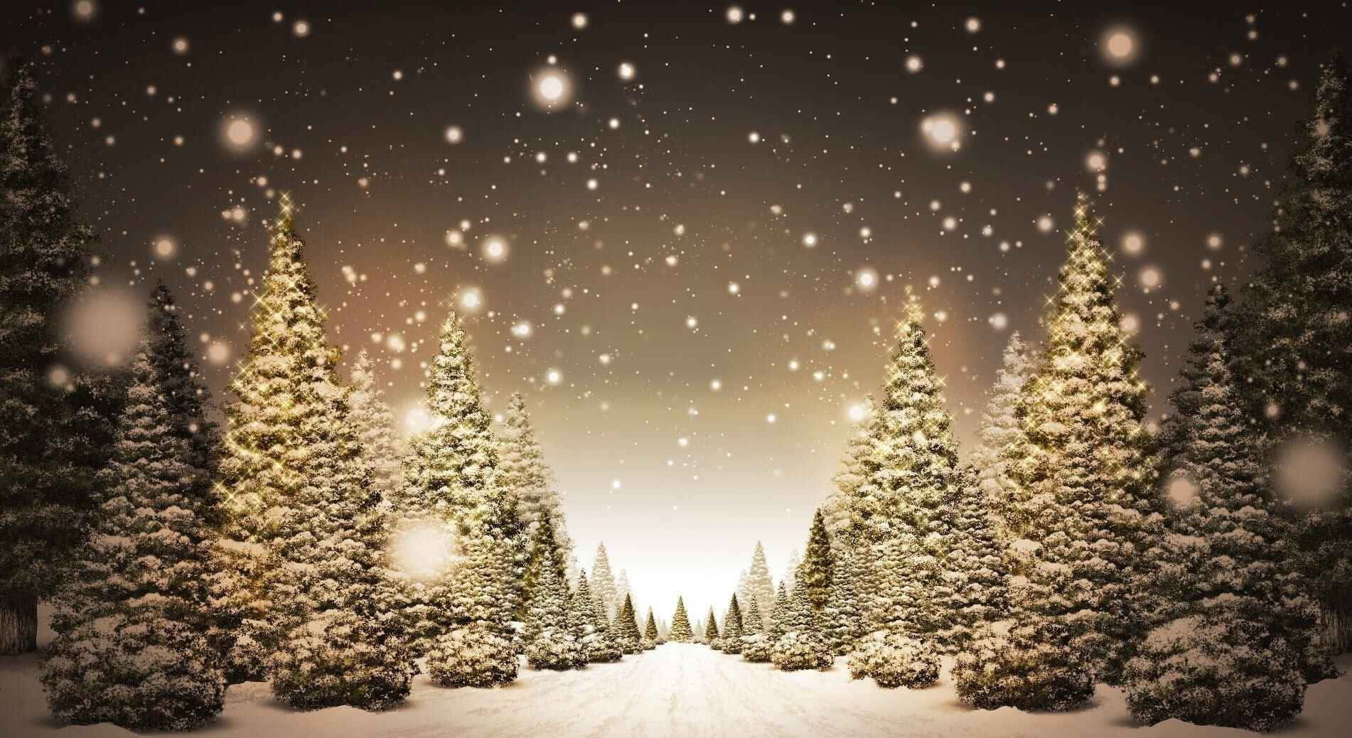 Cozy Christmas Snowy Road Background