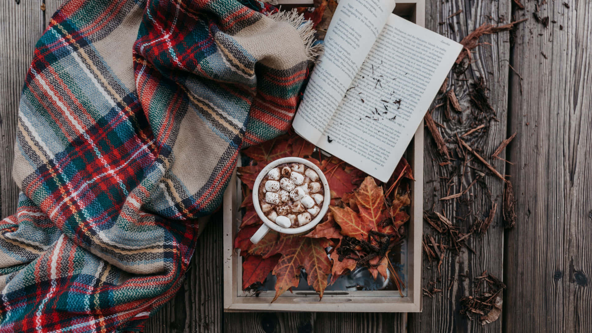 Cozy Fall Desktop Hot Chocolate And Book Background