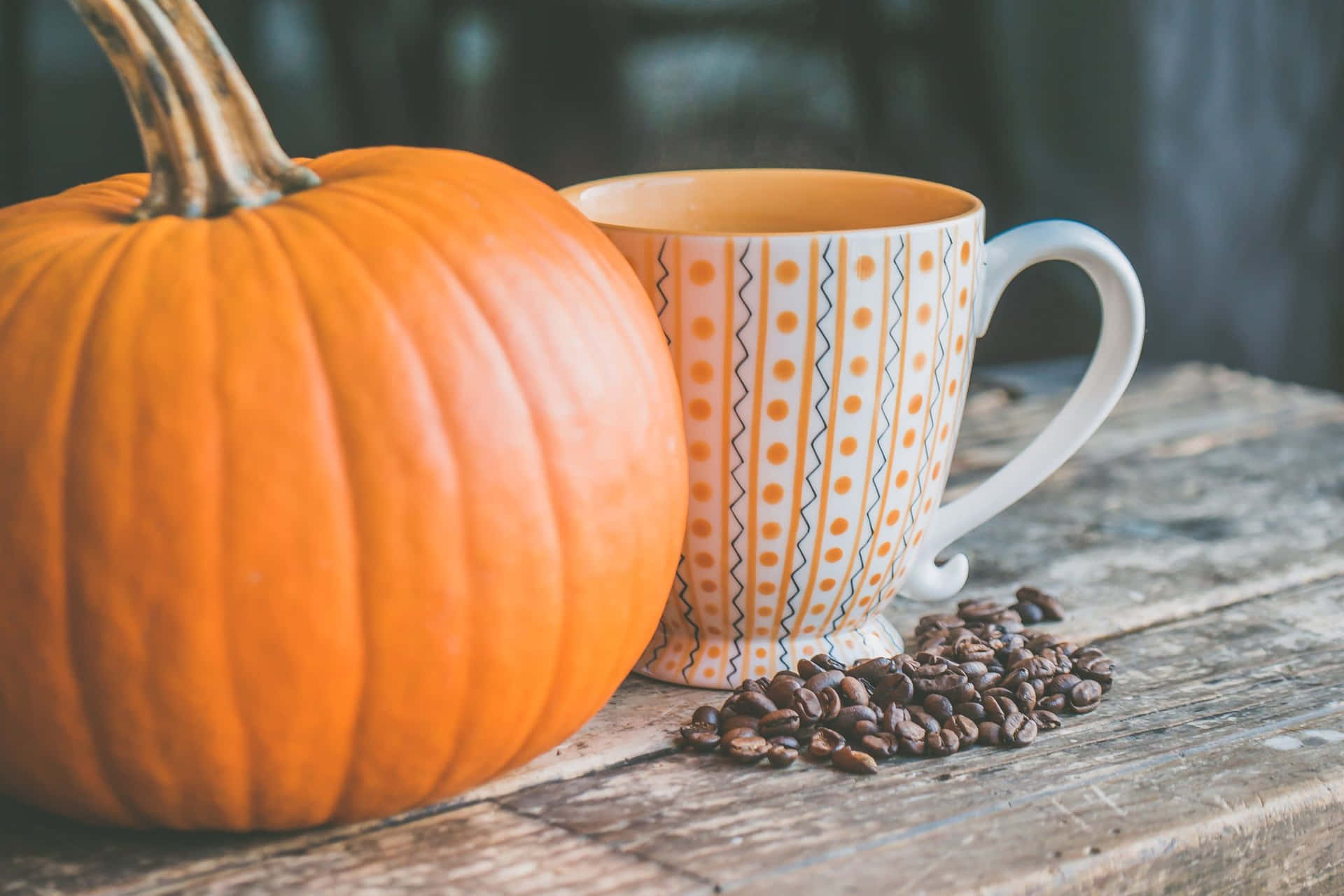 Cozy Fall Desktop Pumpkin And Coffee Background