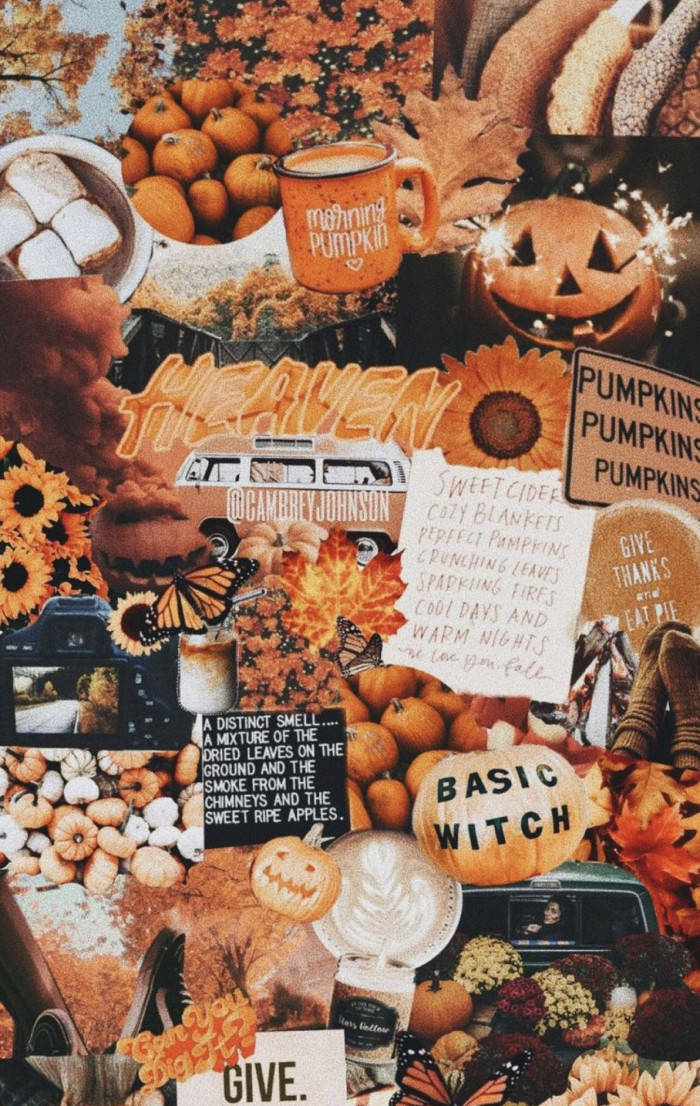 Cozy Fall Halloween Collage Background