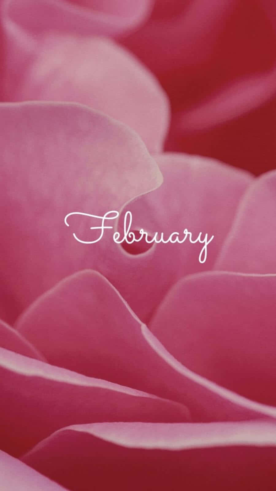Cozy February Iphone Wallpaper With Seasonal Elements In A Whimsical Design Background