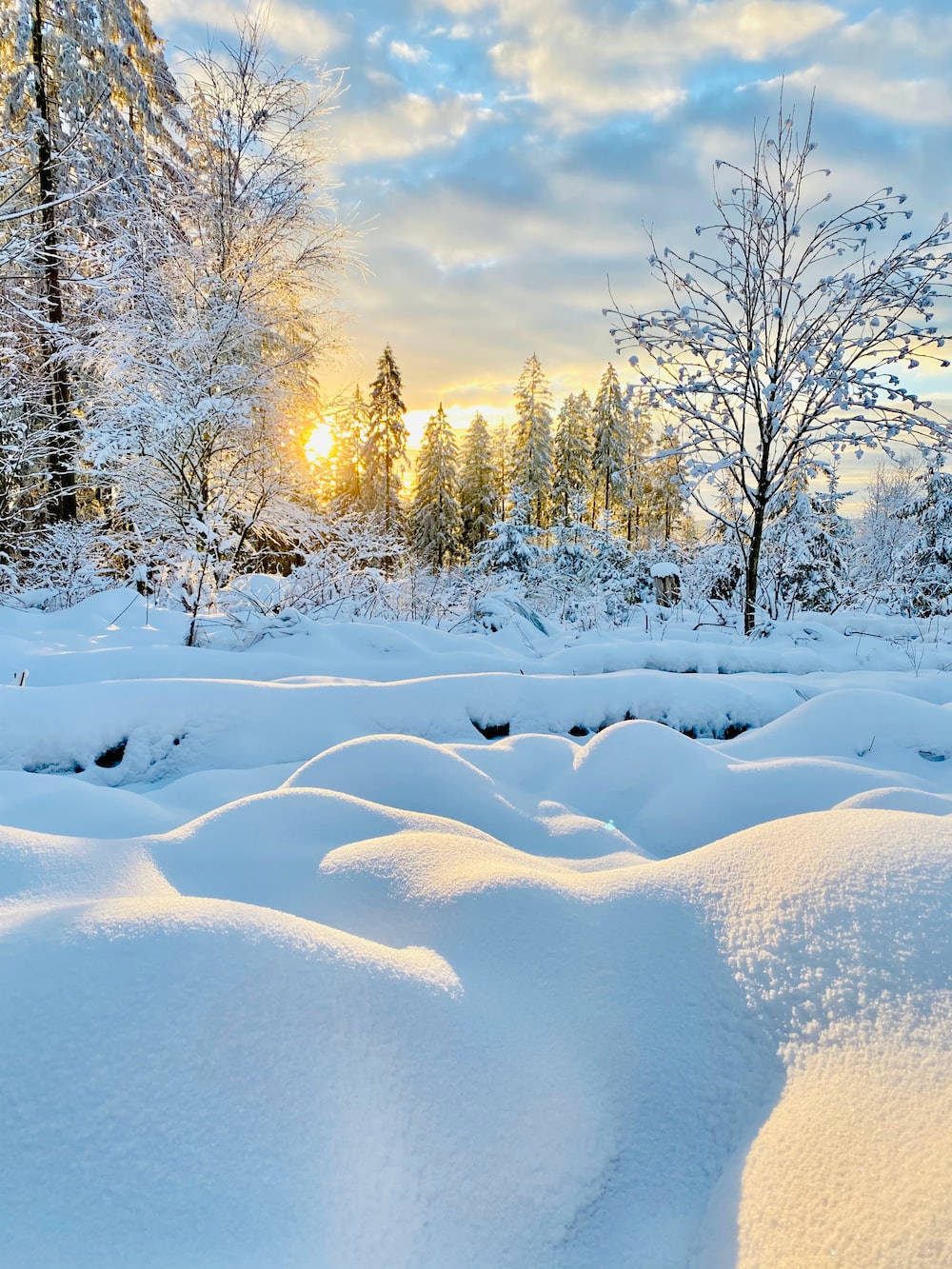 Cozy Sunrise Winter Scenery Background