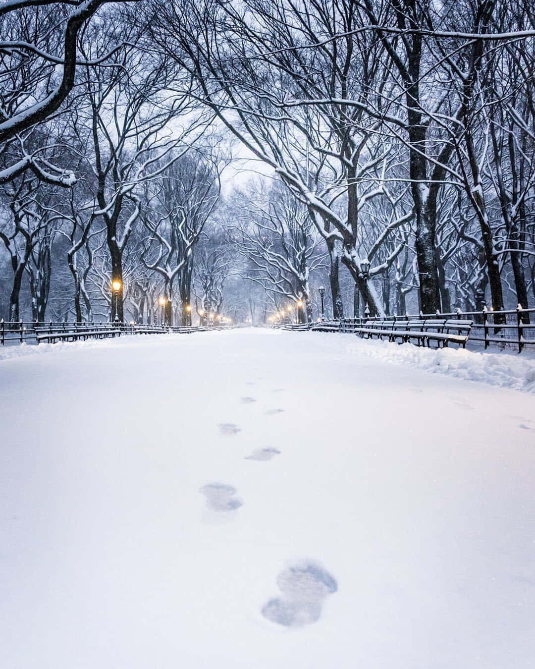 Cozy Winter Aesthetic Snow Path Footprints Photography Background