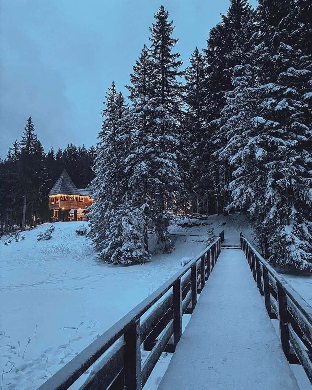 Cozy Winter Aesthetic Snowed Bridge Forest Photography Background