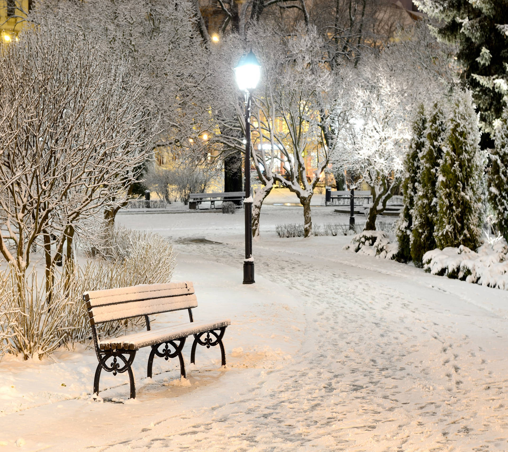 Cozy Winter Evening Local Park Background