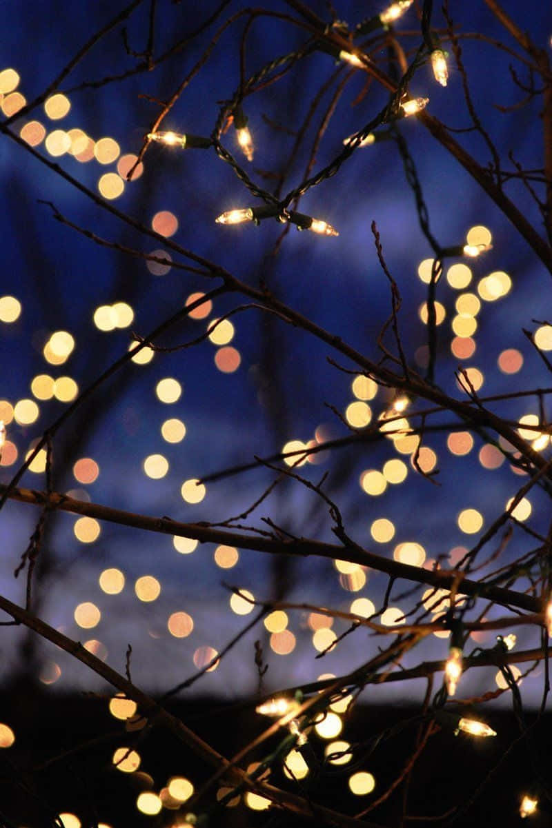Cozy Winter Light Tumblr Background