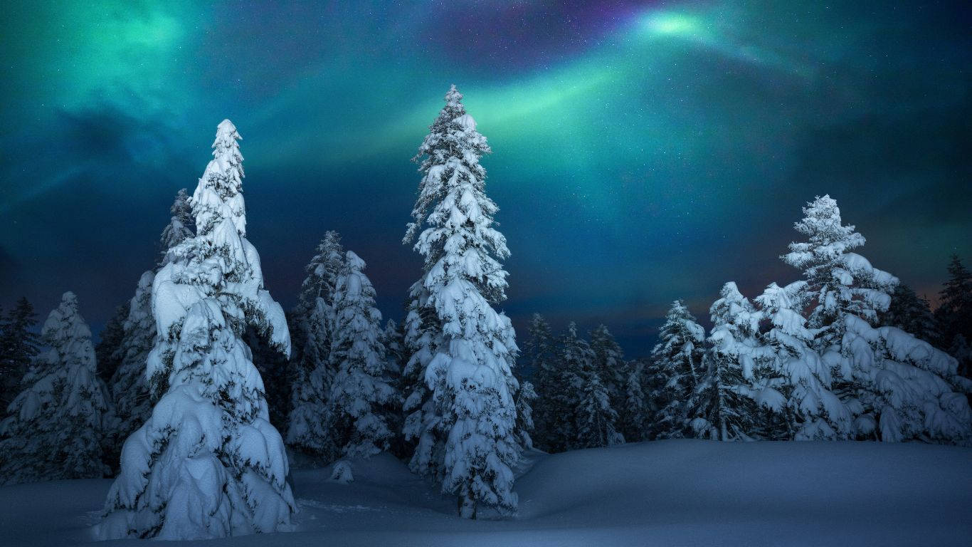 Cozy Winter Night Background