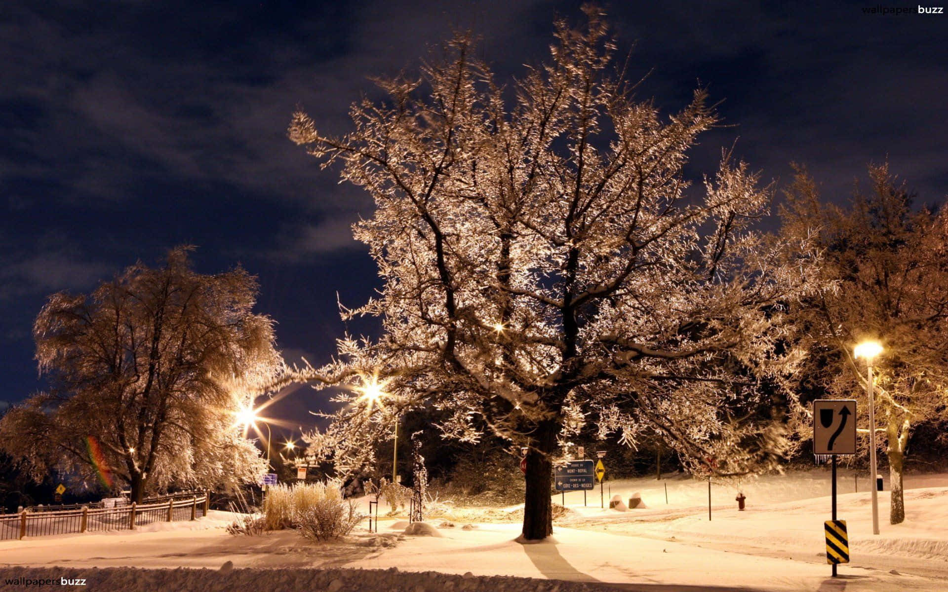 Cozy Winter Night With Beautiful Cottage Background