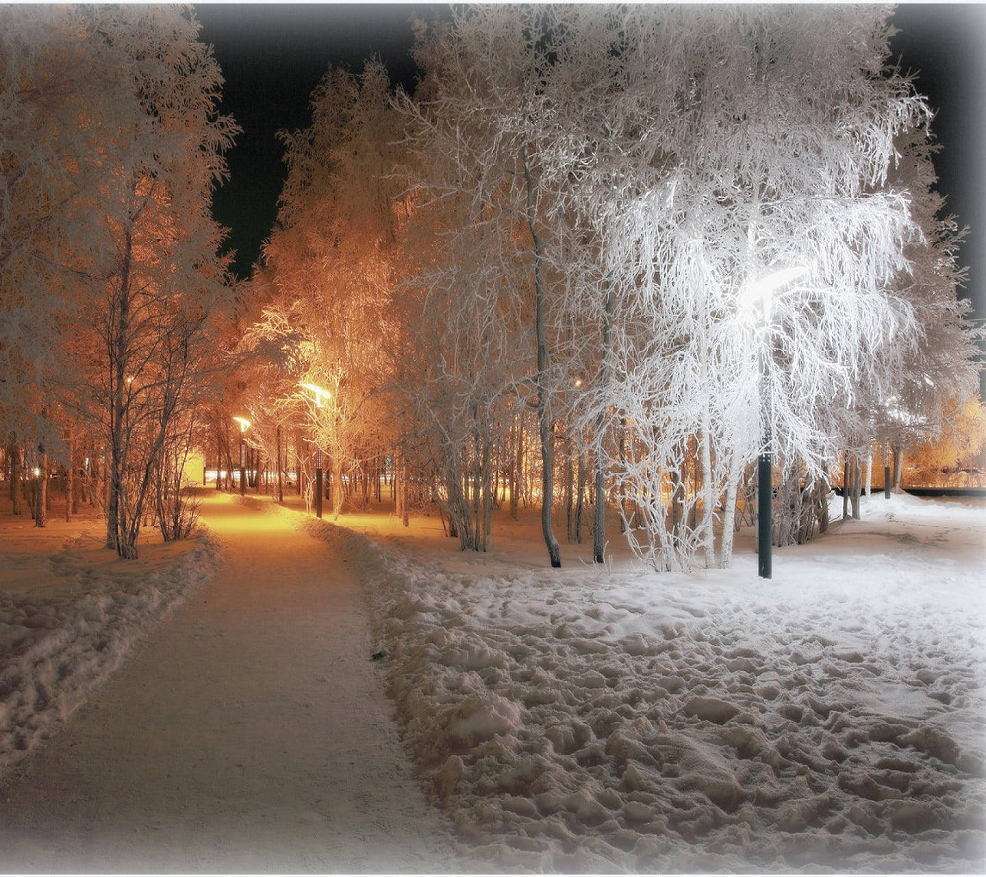 Cozy Winter Park In White Aesthetic Background