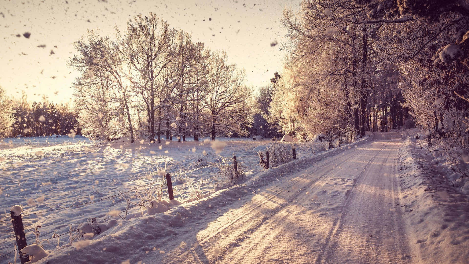 Cozy Winter Snow-covered Road Desktop Background