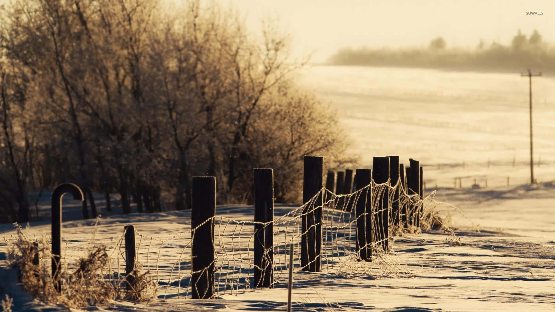 Cozy Winter Snowy Field And Fence Desktop Background