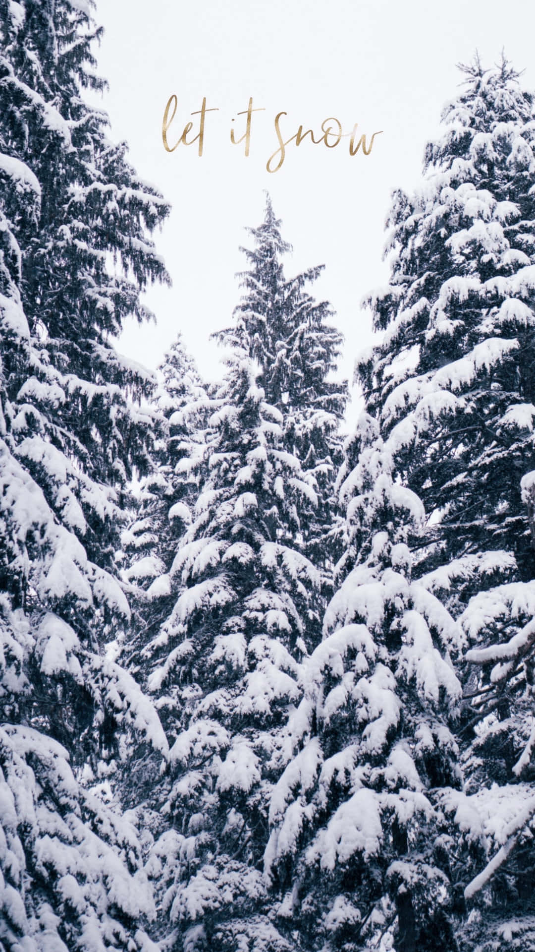 Cozy Winter Wonderland In The Forest