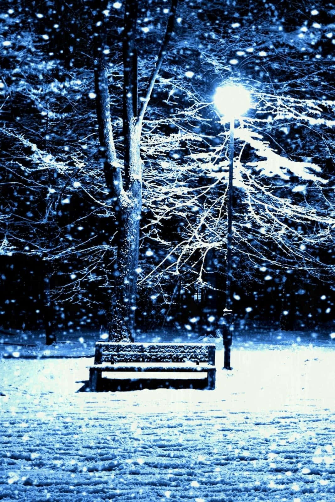Cozy Winter Wonderland Background
