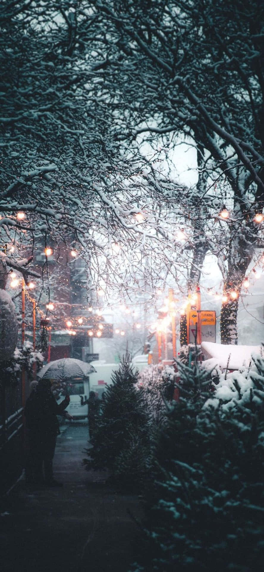 Cozy Wintertime Moments Background