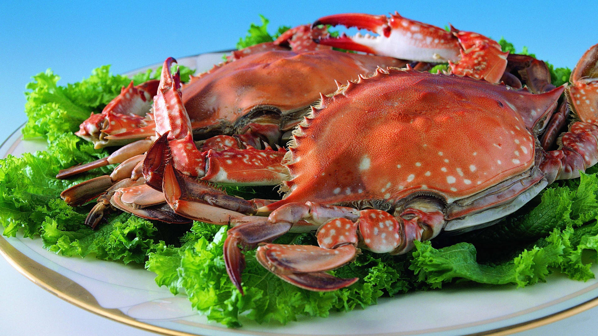 Crab And Lettuce On Plate Background
