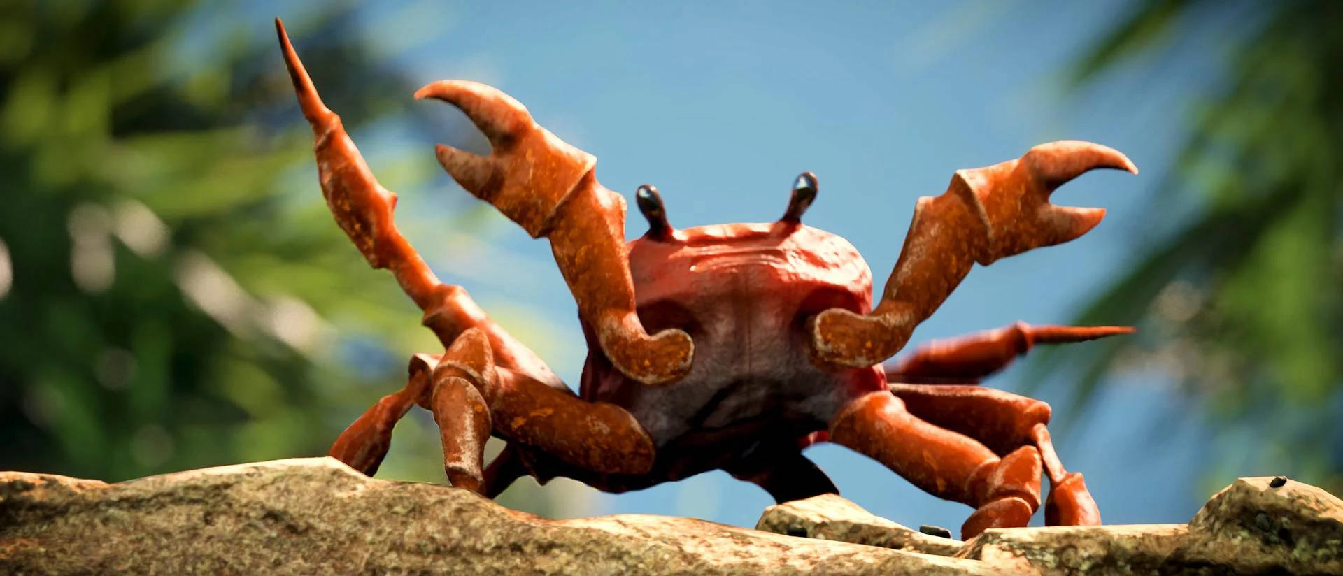 Crab On A Rock Background