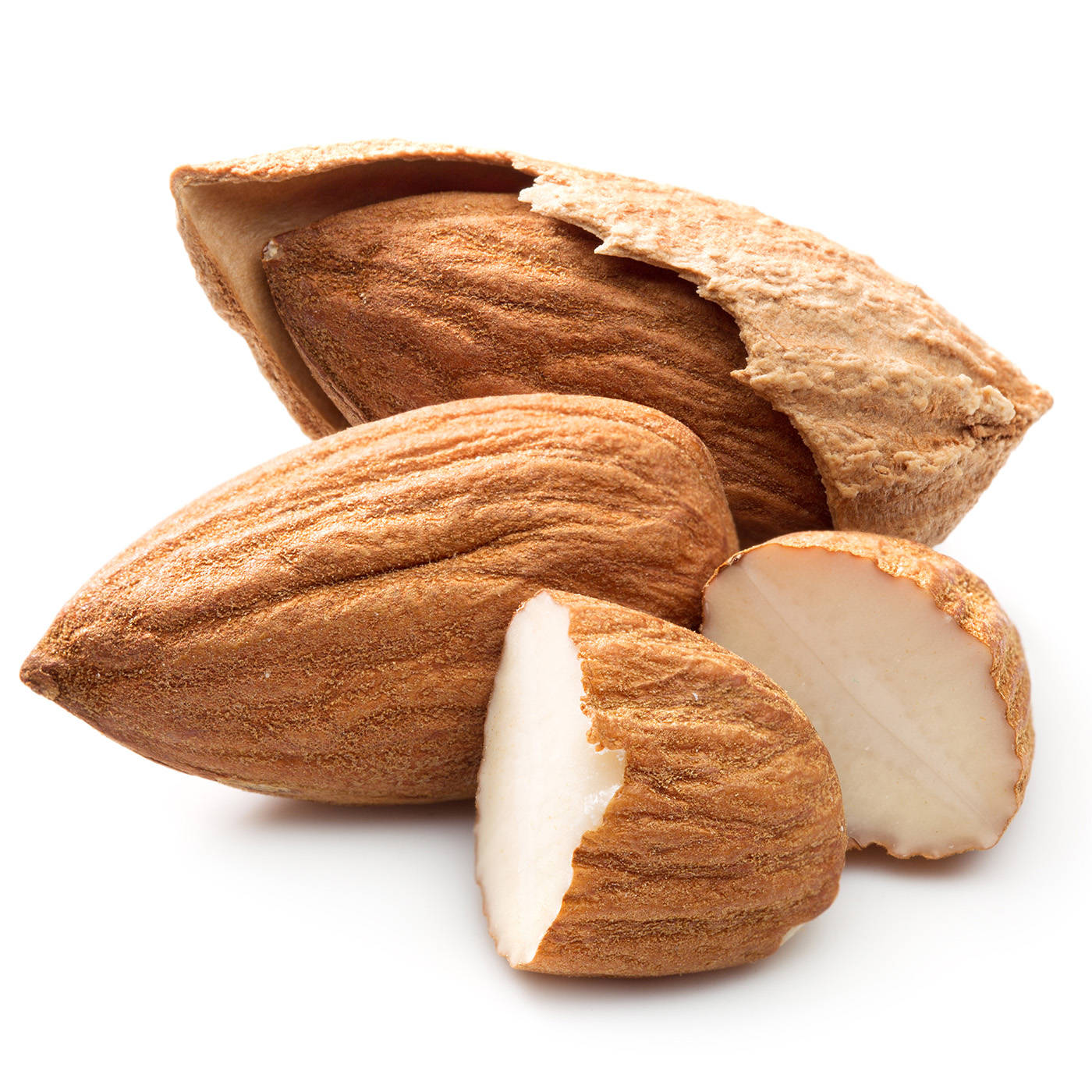 Cracked Almond Shell Background