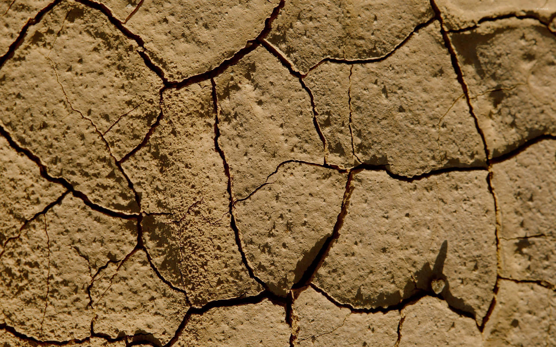 Cracked Desert Dried Mud Background