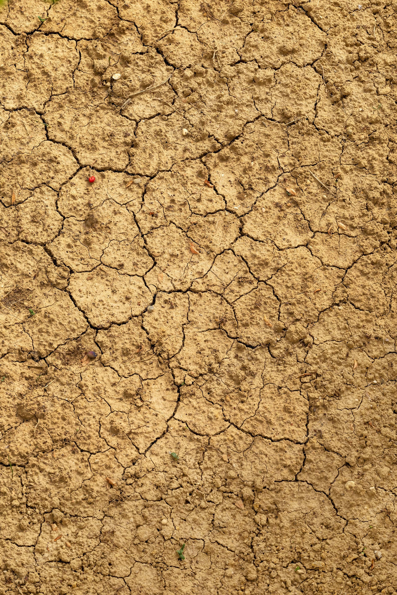 Cracked Dry Mud Soil Texture Background