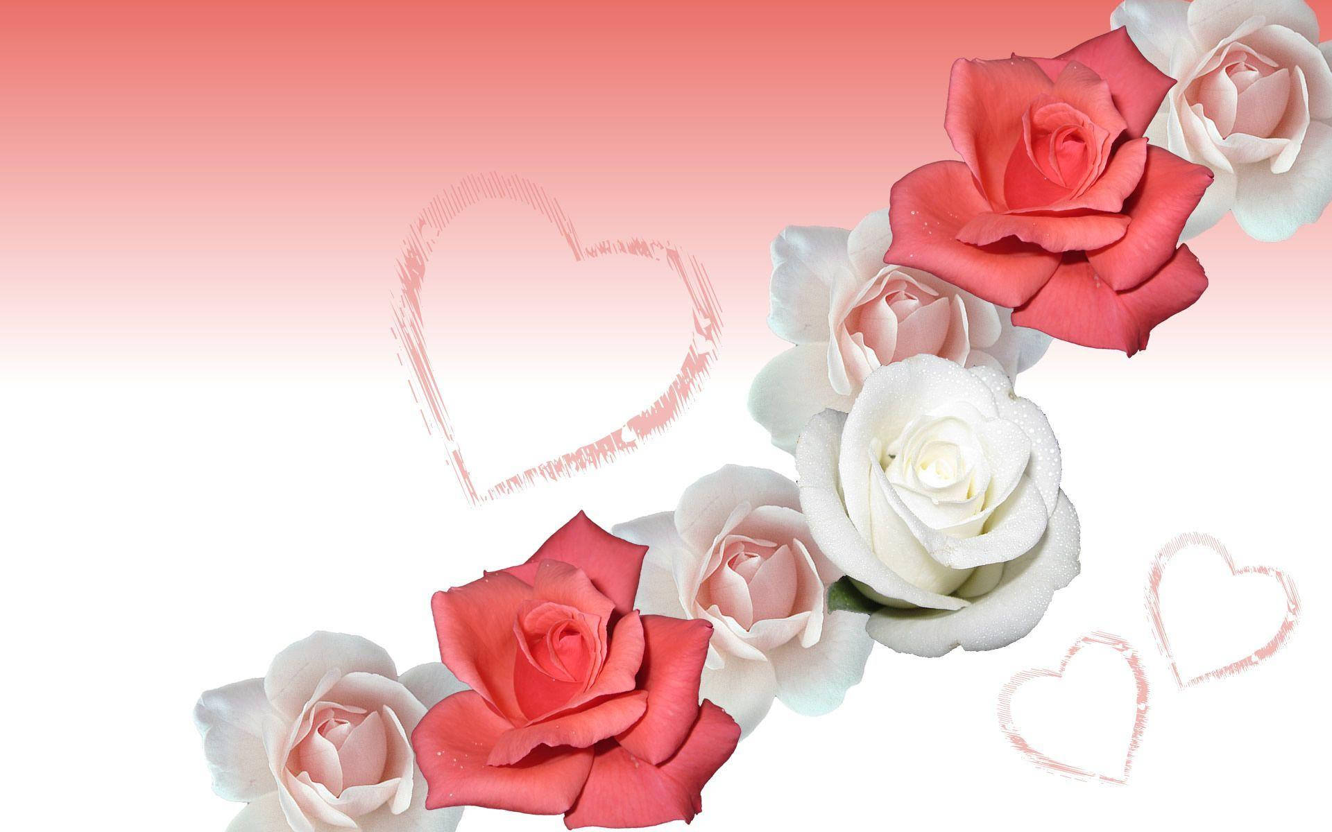Craft Rose Flowers Background