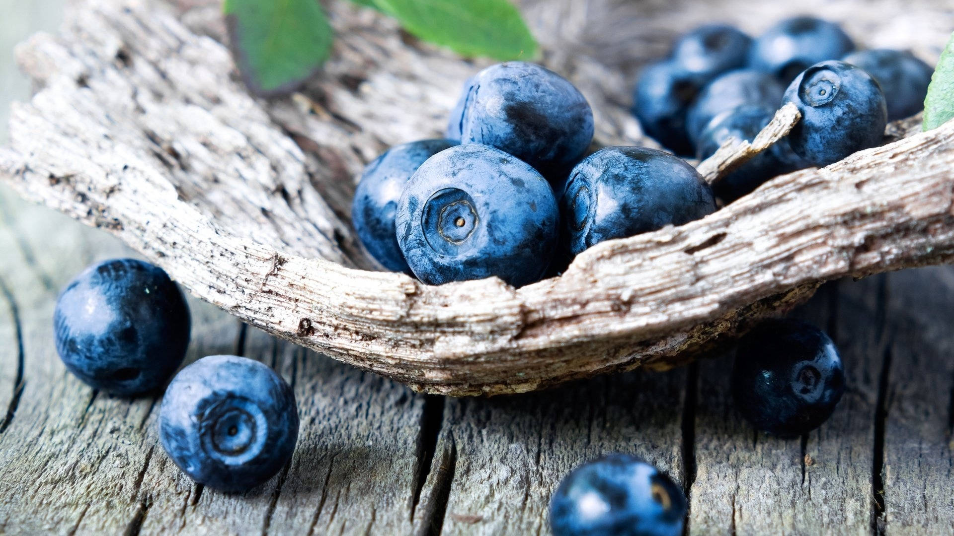 Crafty Blueberries Display Background