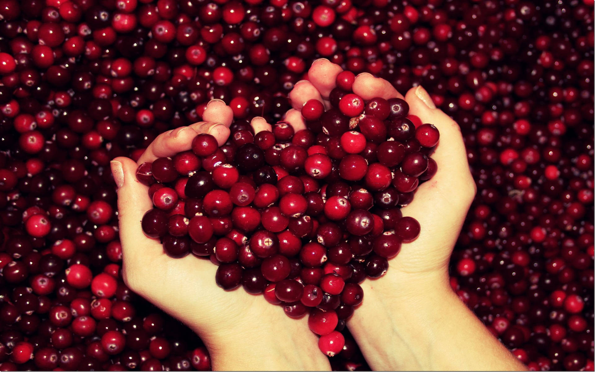 Cranberries For Good Health Background