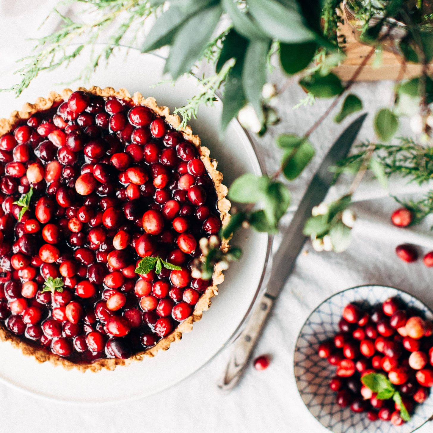 Cranberries In Printed Bowl Background