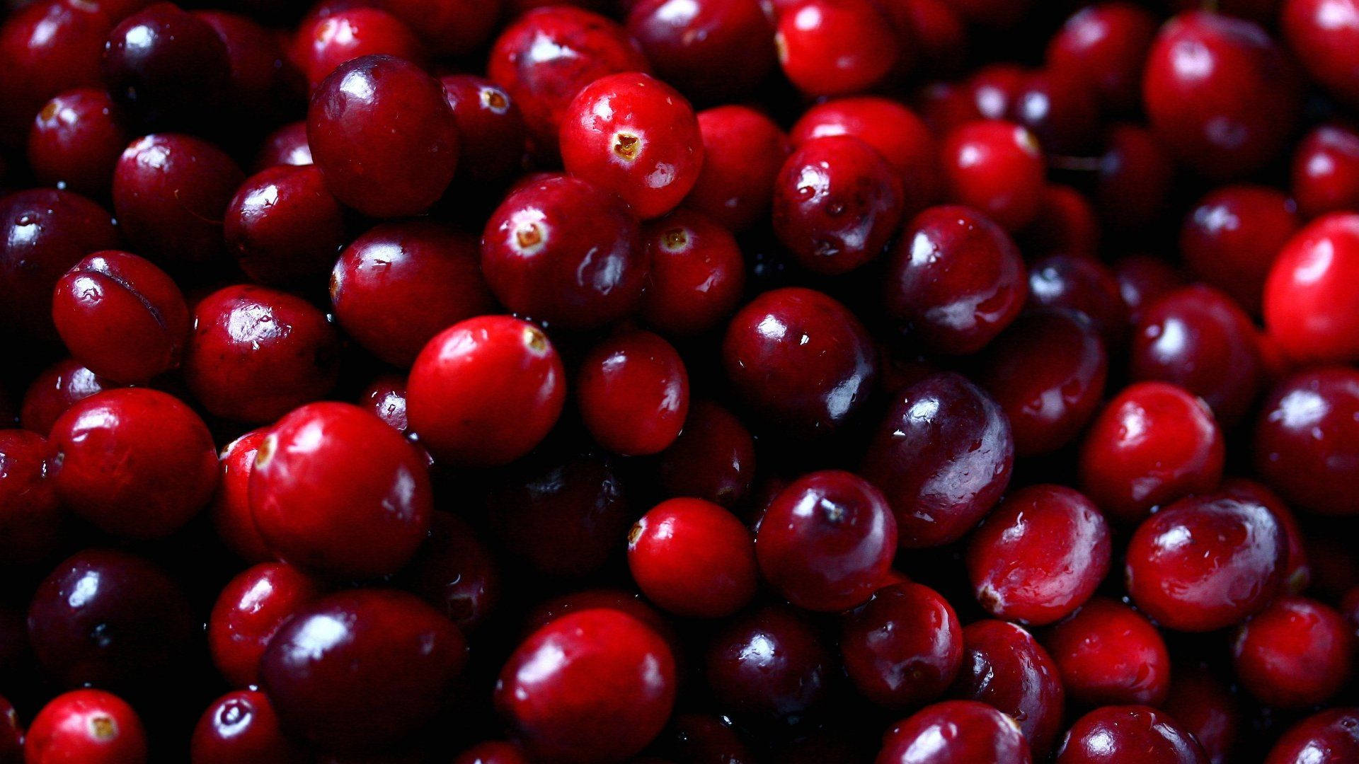 Cranberry Fresh Harvest Background