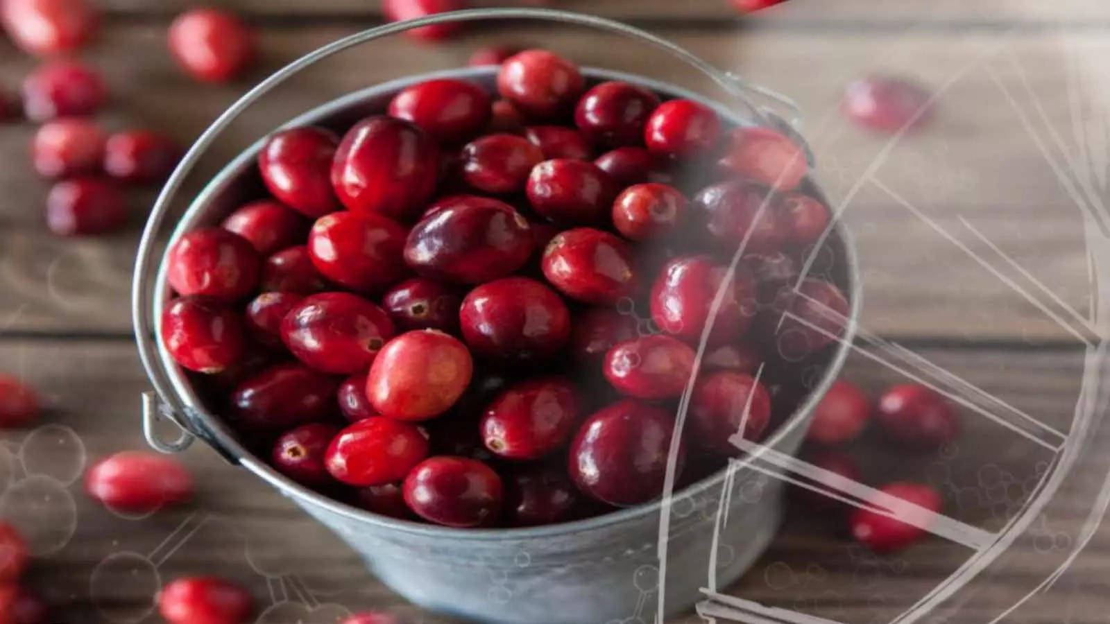 Cranberry Hard Round Red Fruits Background