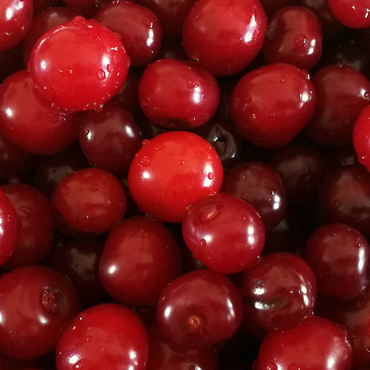 Cranberry Red Glossy Fruit Background