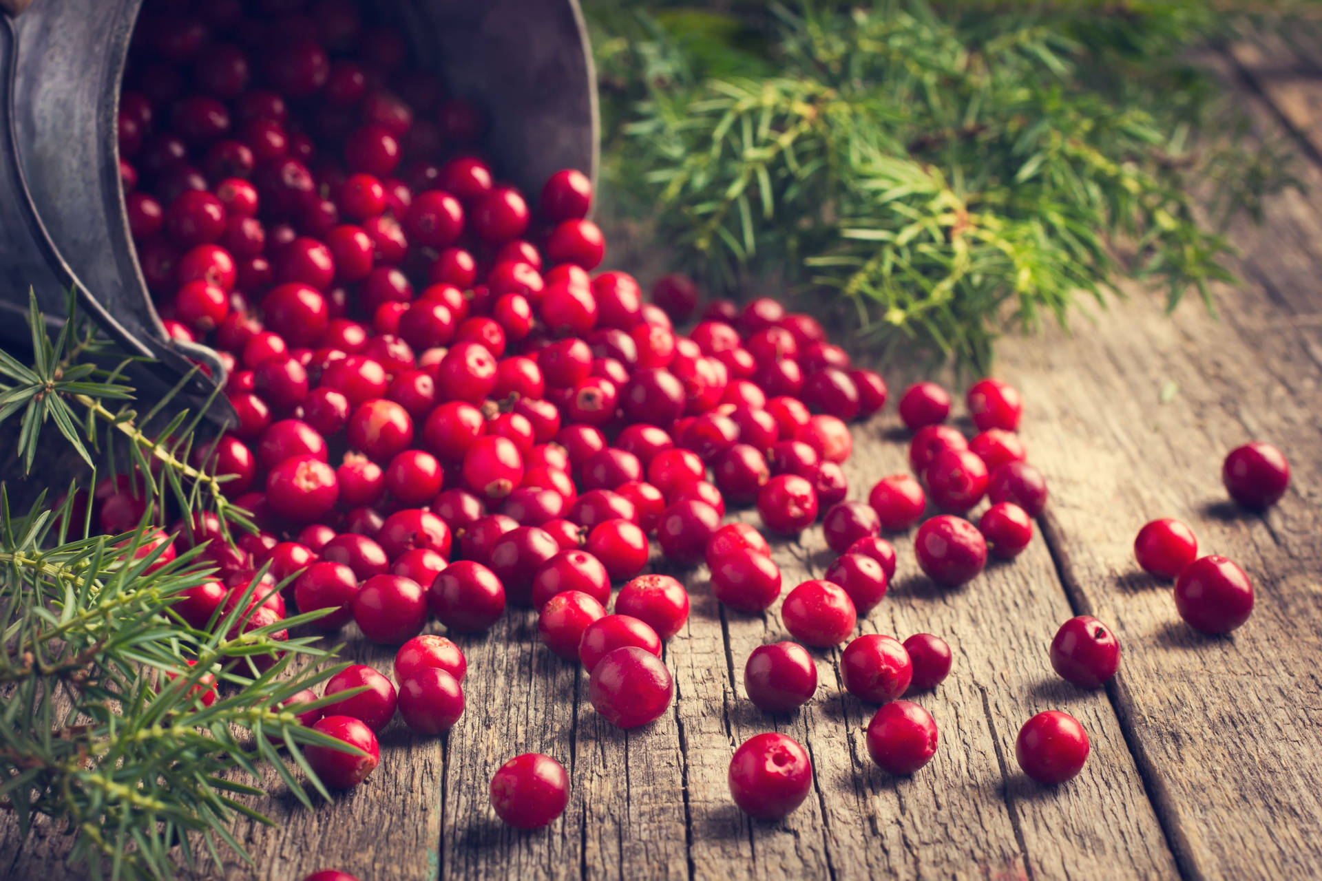 Cranberry Spilled On Ground Background