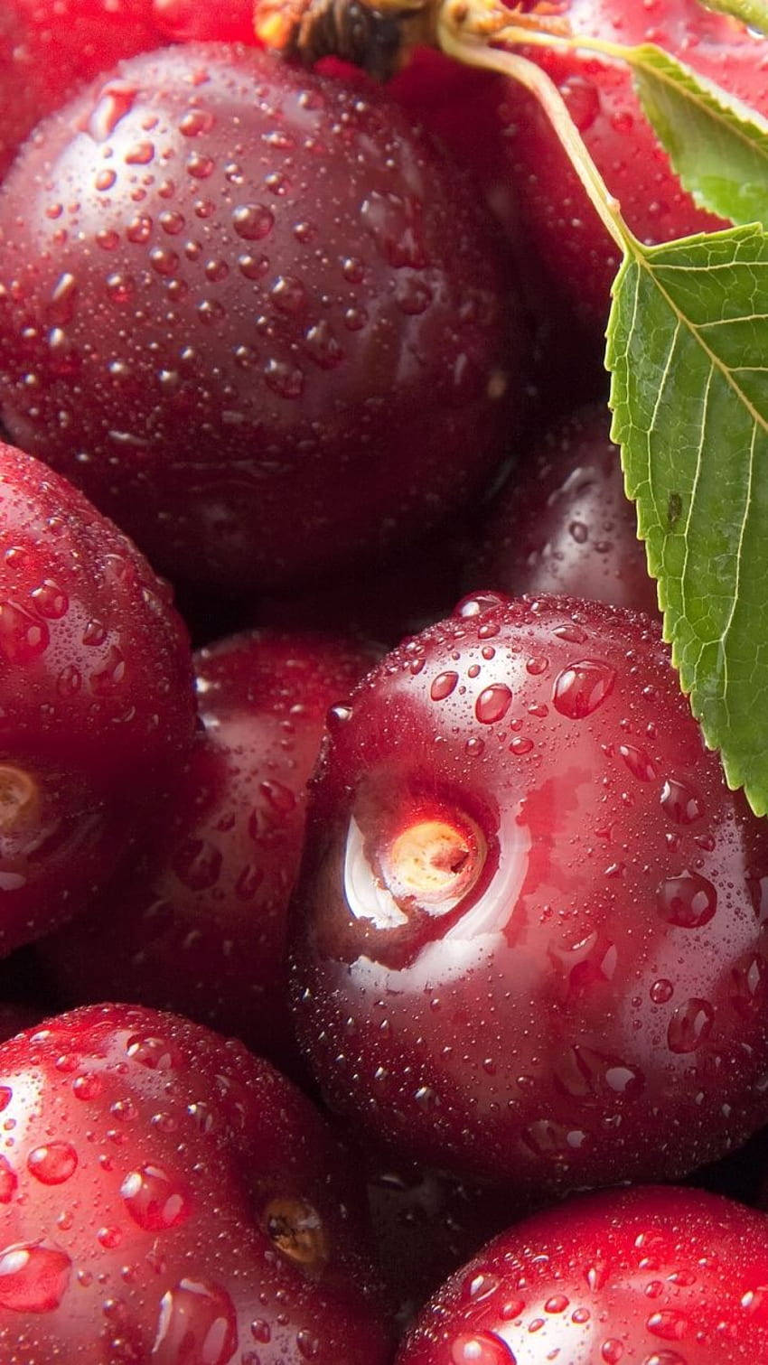 Cranberry With Water Droplets Background