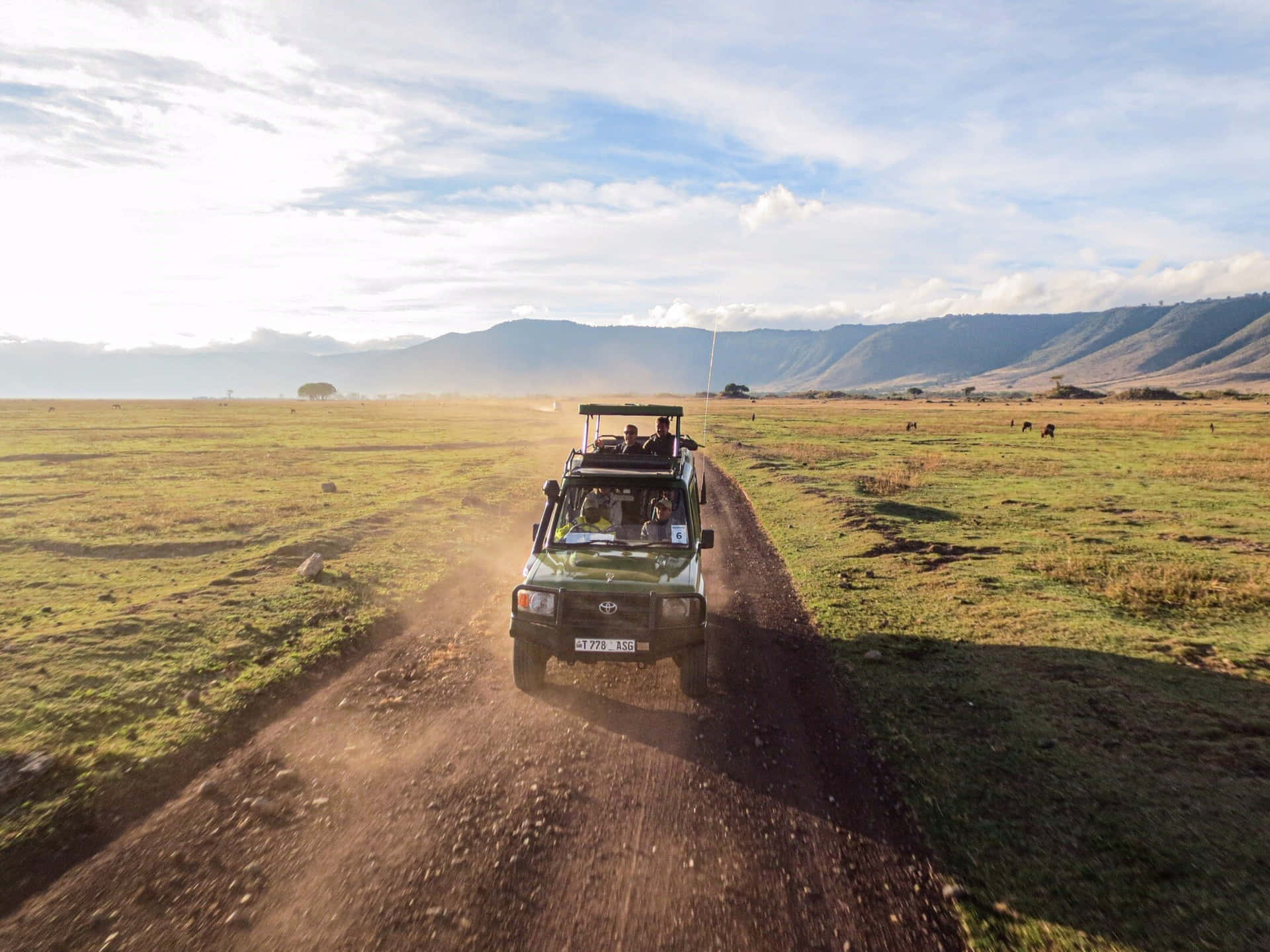 Crater Highlands Ngorongoro Crater Safari Vehicle Background