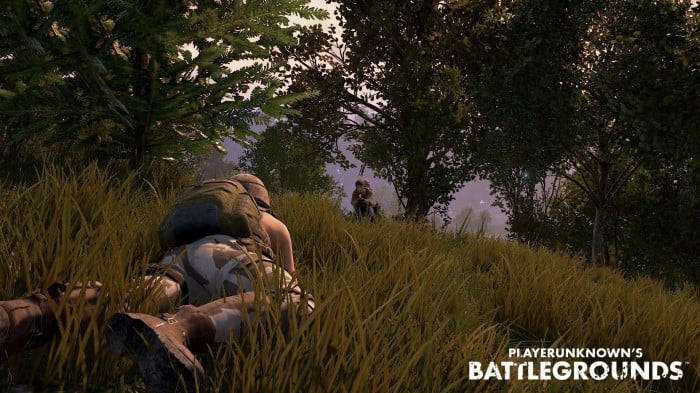 Crawling In The Grass Pubg Banner Background