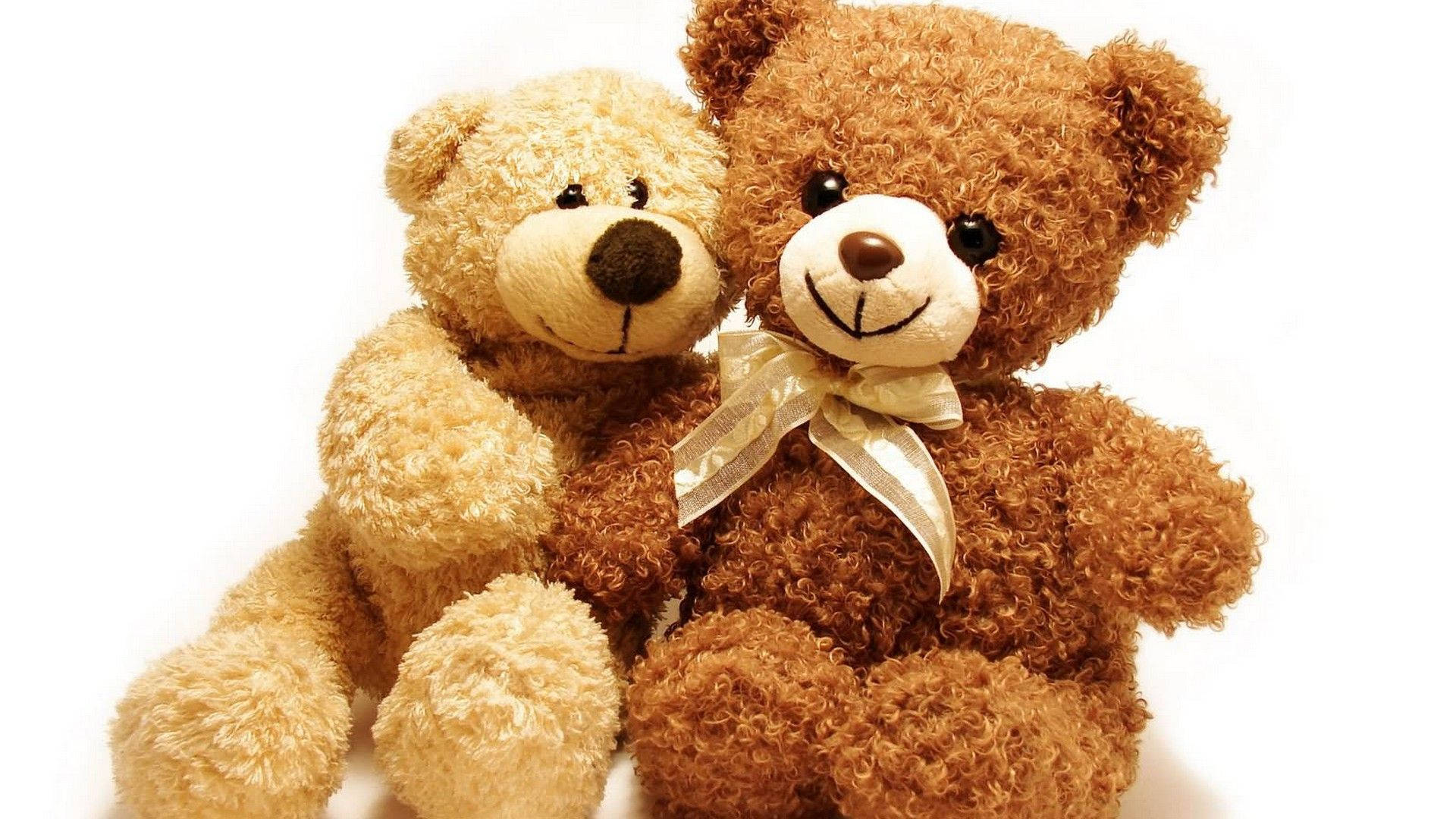 Creamy And Brown Teddy Bear Background