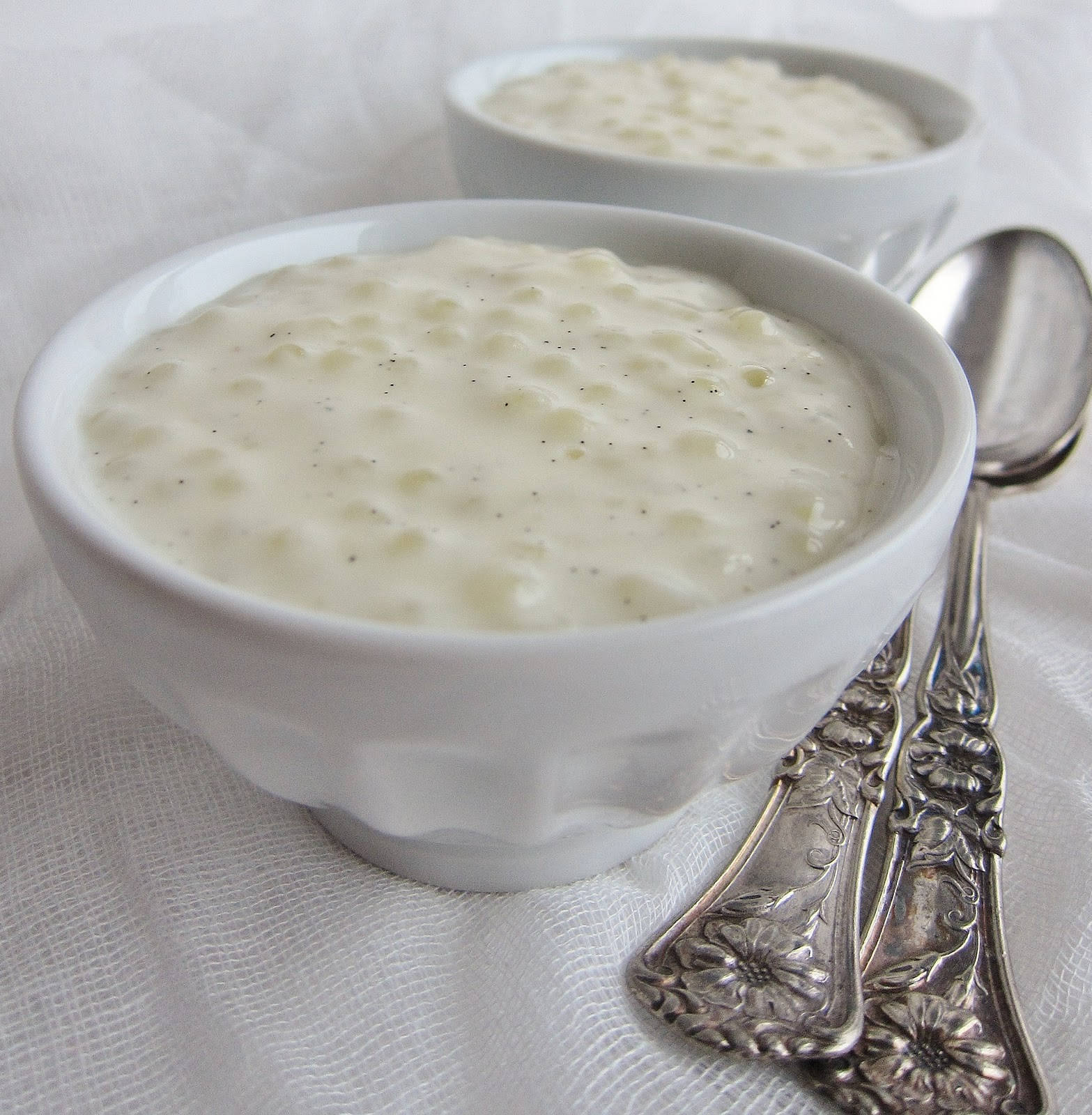 Creamy Coconut Tapioca Bowl Background