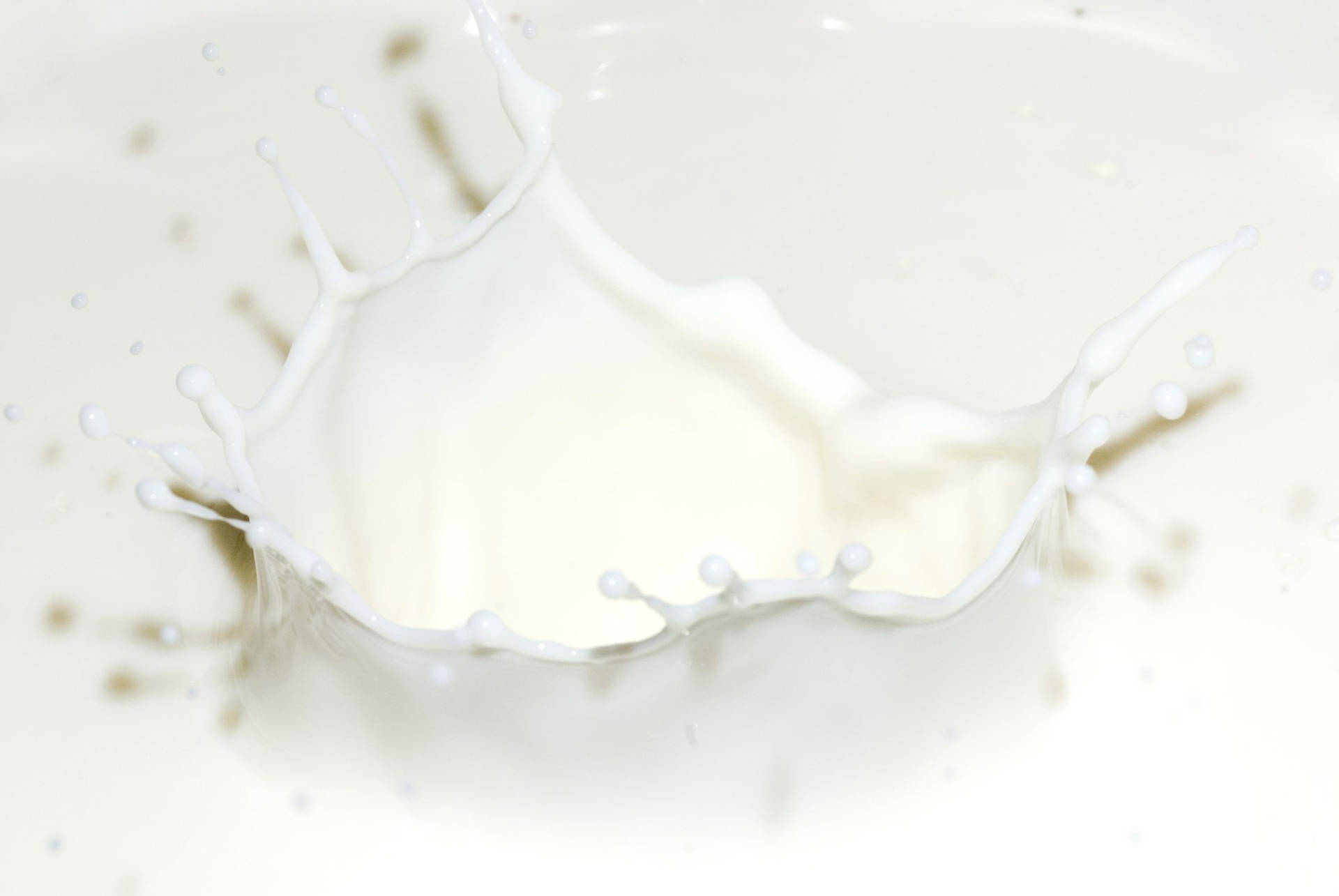 Creamy Dairy Milk Liquid Splatter Background