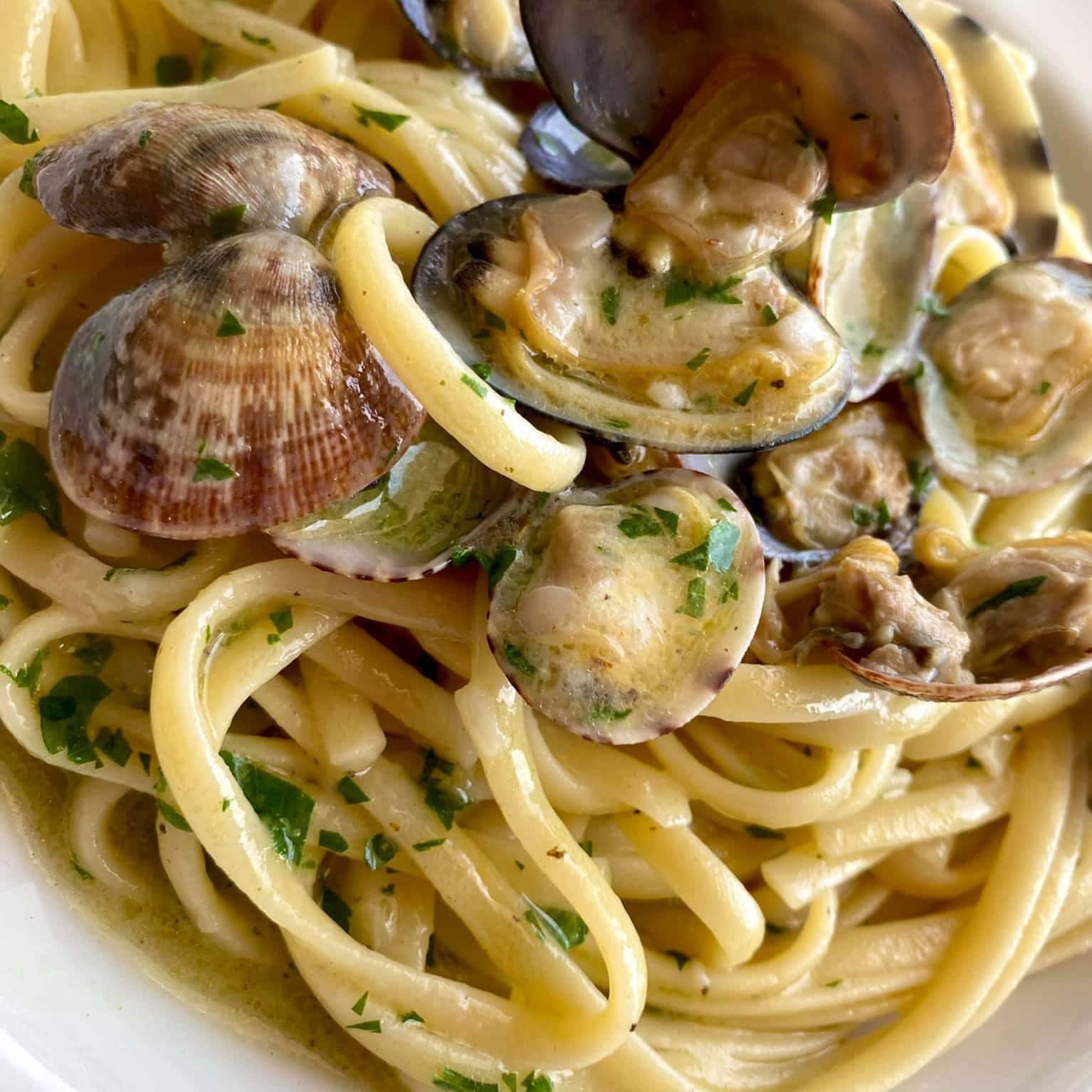 Creamy Spaghetti Alla Vongole Extreme Close Up Shot Background