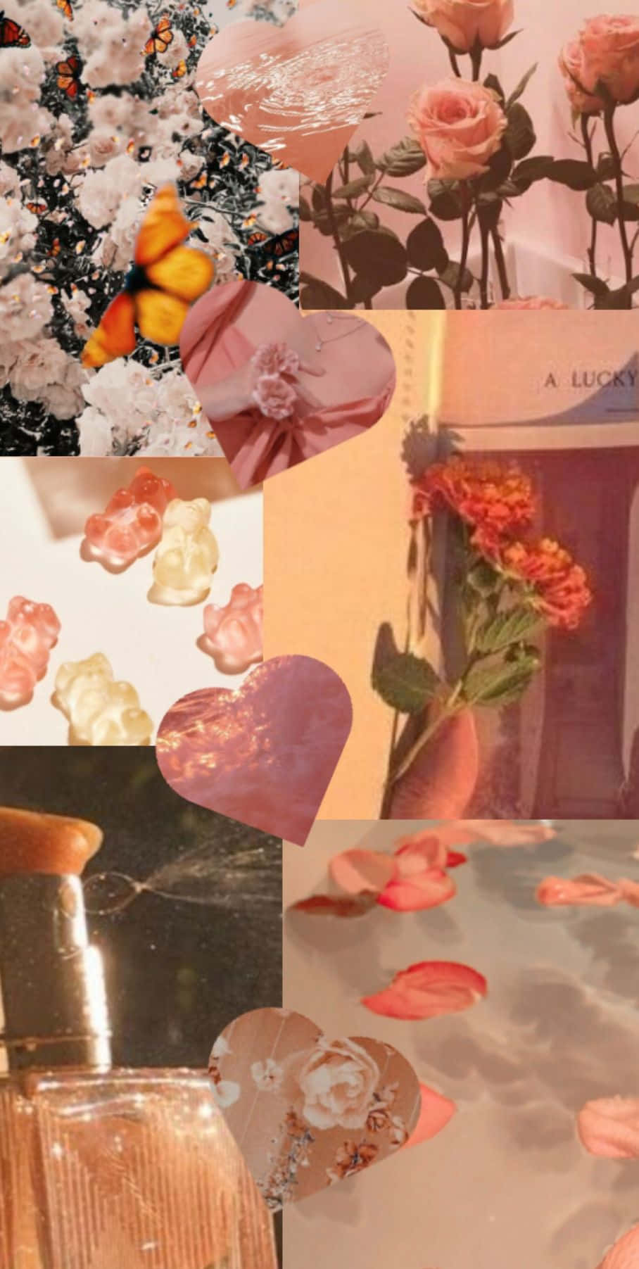 Create A Beautiful And Vibrant Atmosphere With An Orange Peach Aesthetic Background