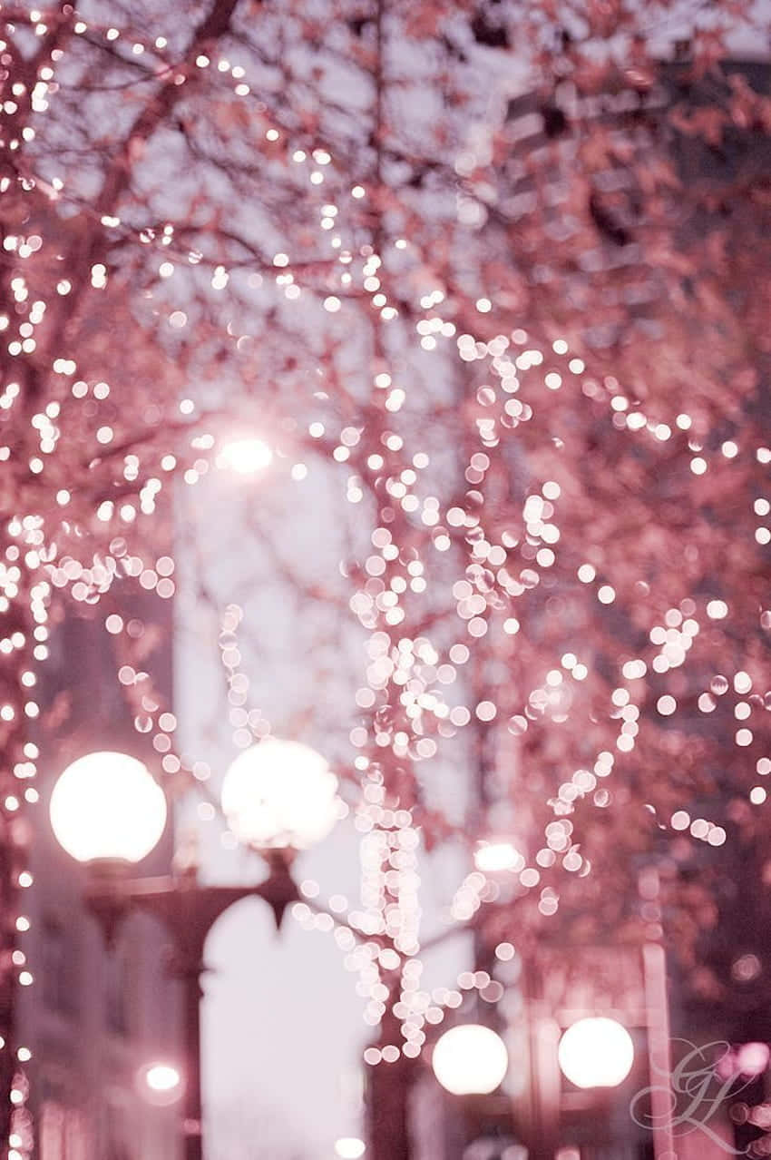 Create A Dreamy Ambience With Delicate Pink Fairy Lights. Background