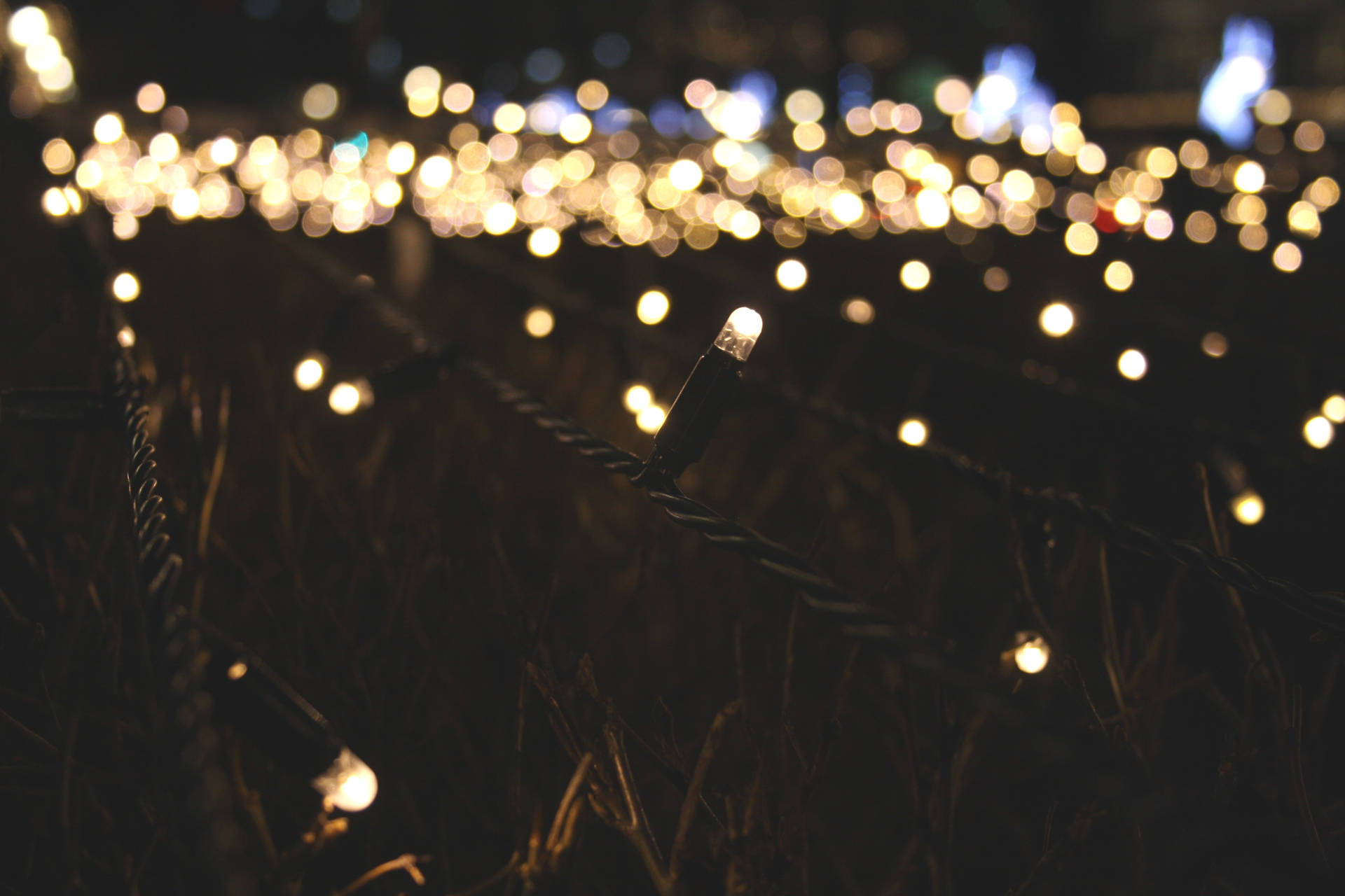 Create A Magical Aesthetic With Fairy Lights Background