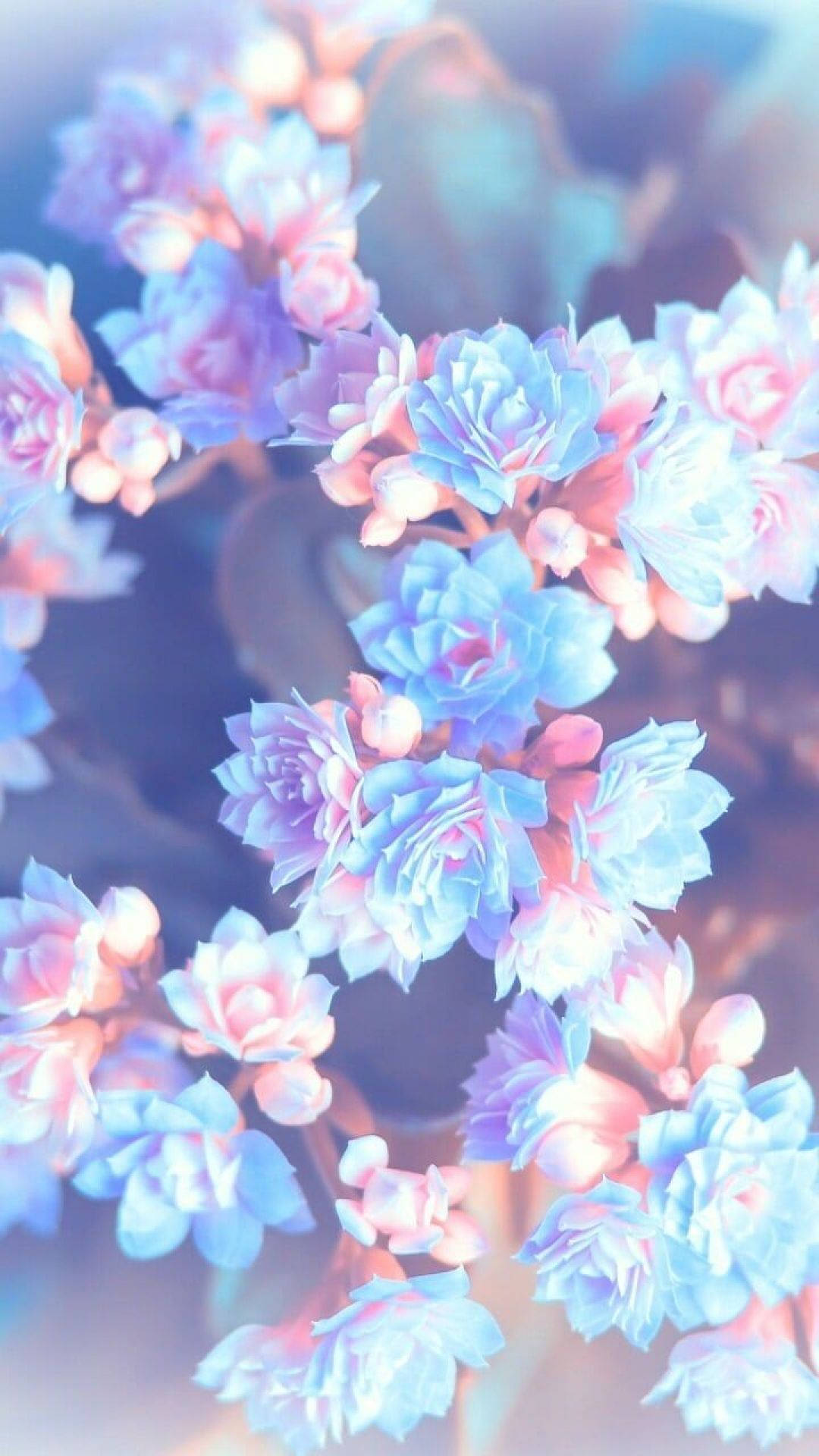 Create A Peaceful And Calming Atmosphere With This Pastel Blue Aesthetic Iphone Wallpaper Background