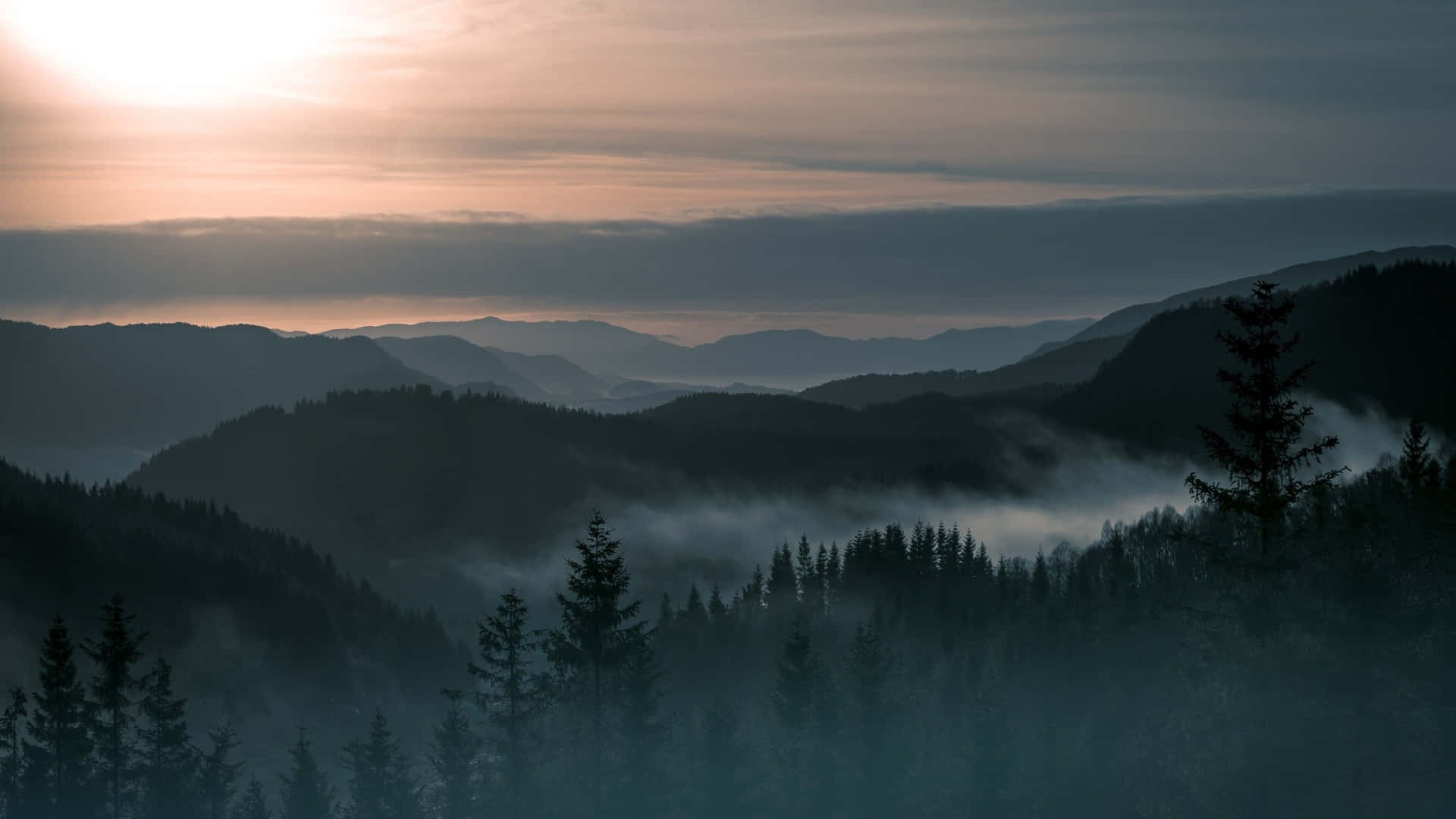 Create A Simple And Aesthetic Desktop Background With The Help Of This Wallpaper.