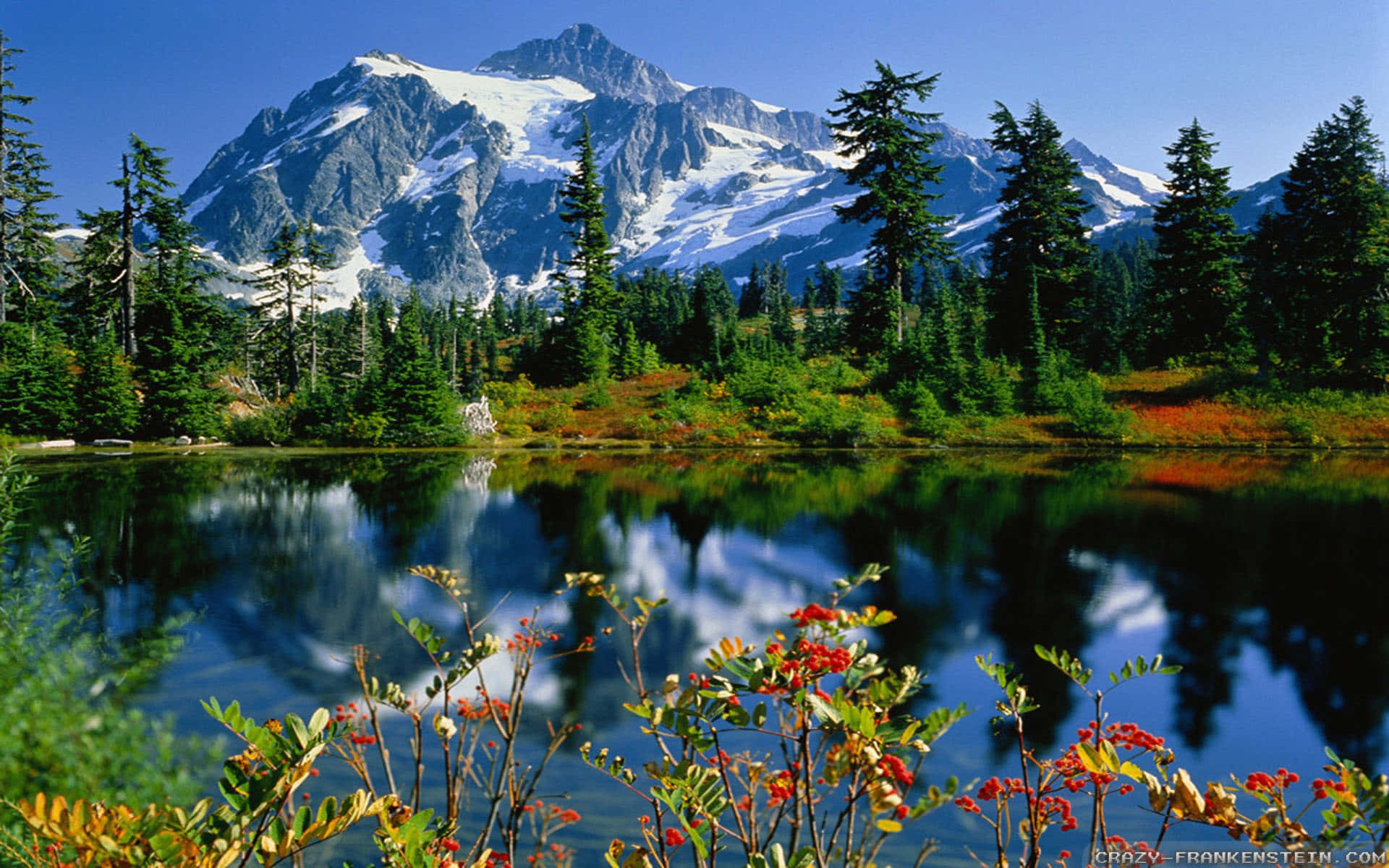 Create Your Own Paradise In The Grace Of Jehovah Background