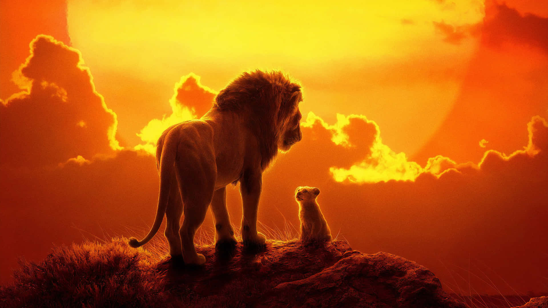 Created To Rule With Cuteness Background