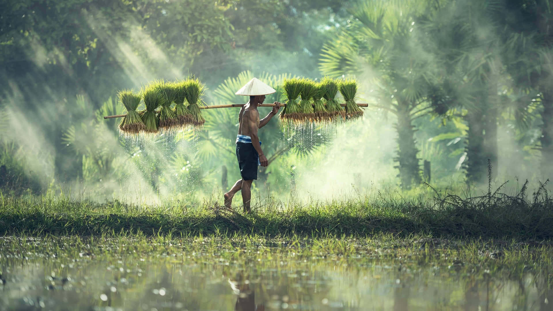 Creative Cool Farming Connects Us To Our Roots Background