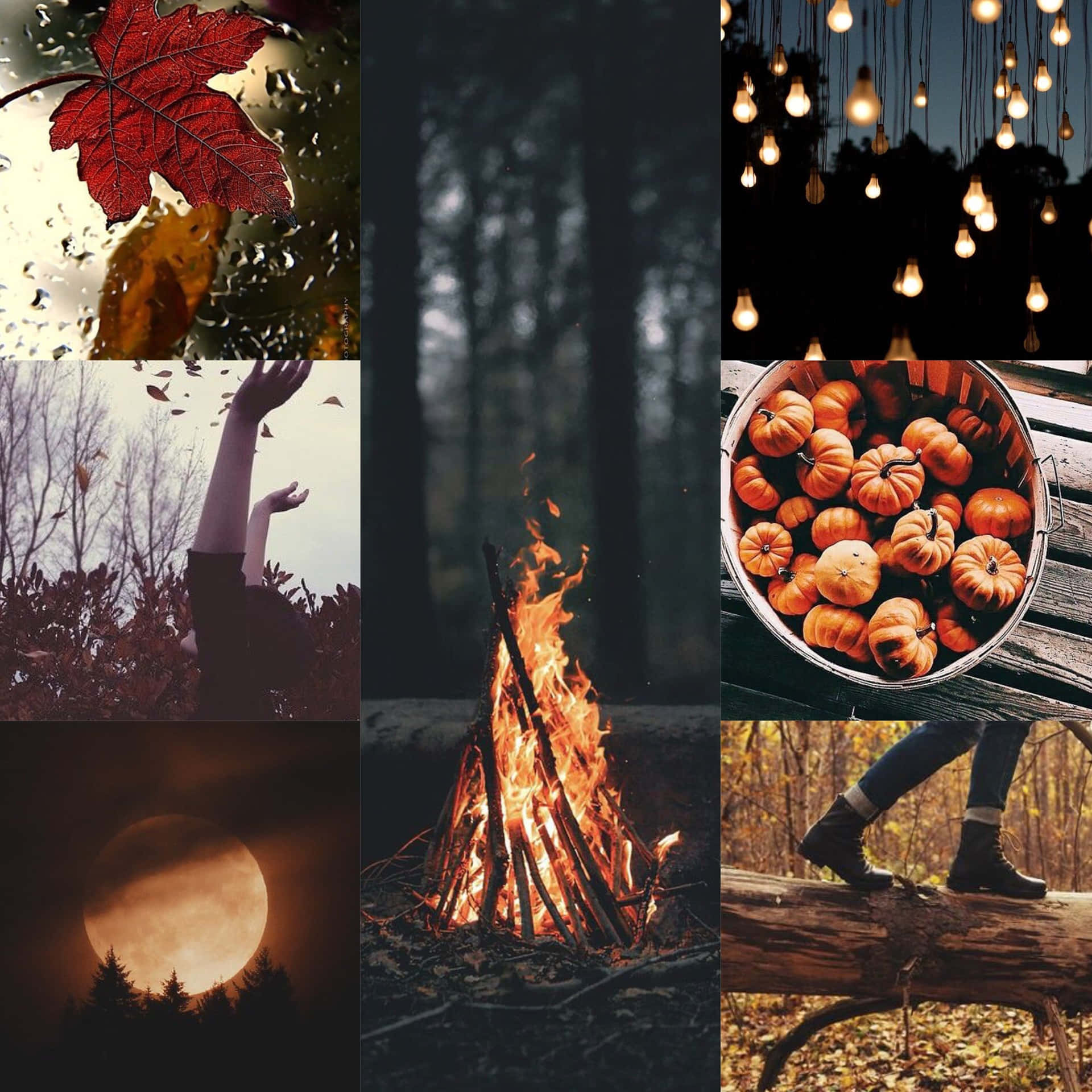 Creative Fall Collage With Campfire Background