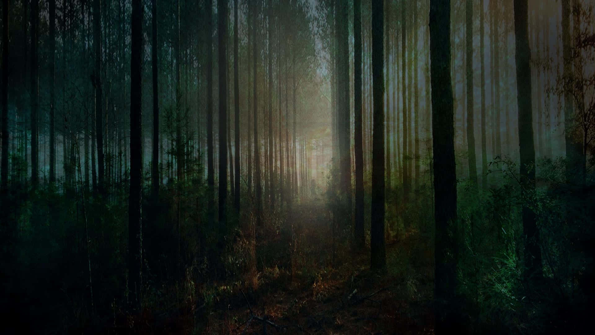 Creepy Halloween Night Desktop Background Background