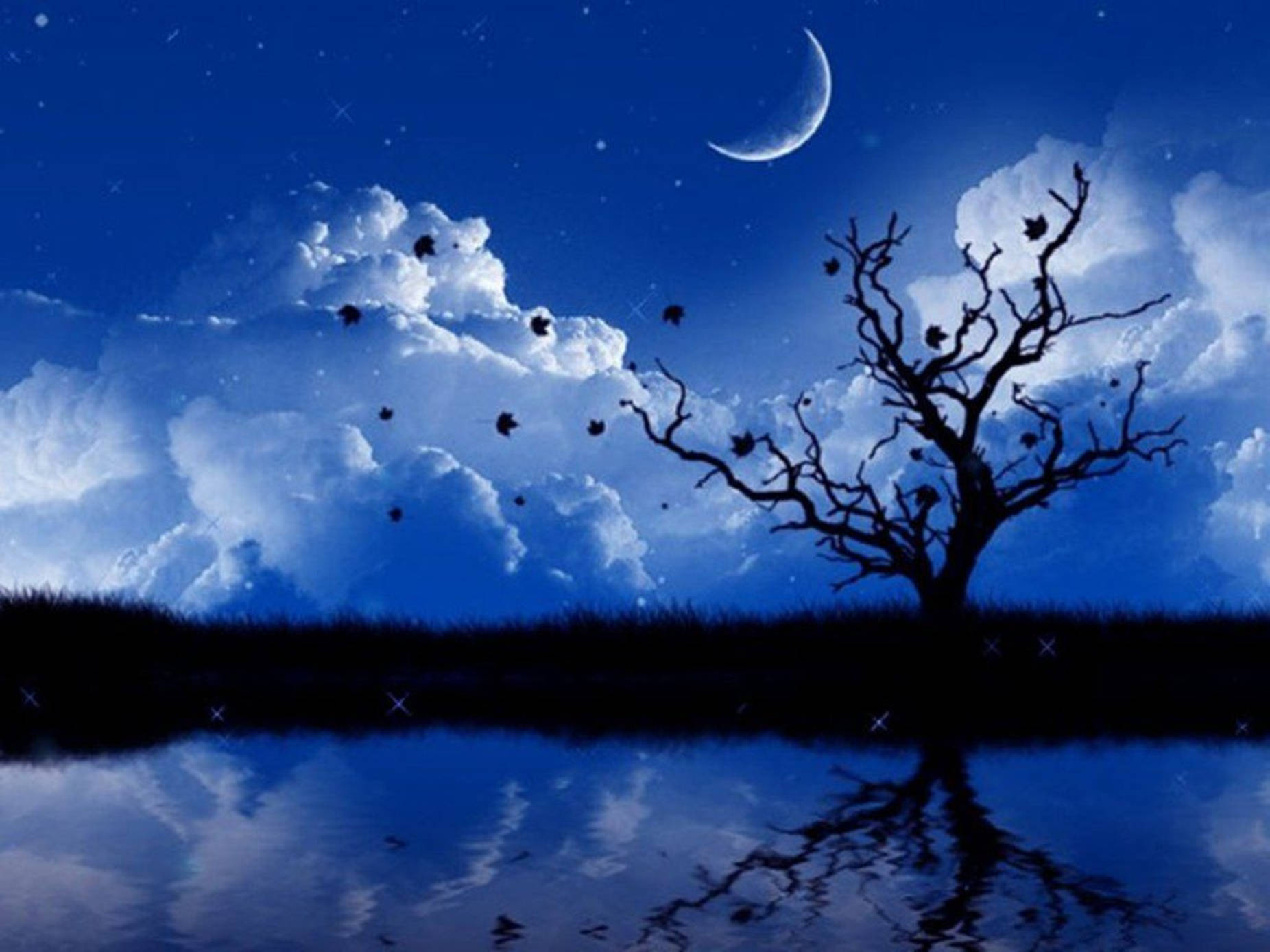 Crescent Moon And Tree Silhouette 3d Animation Background