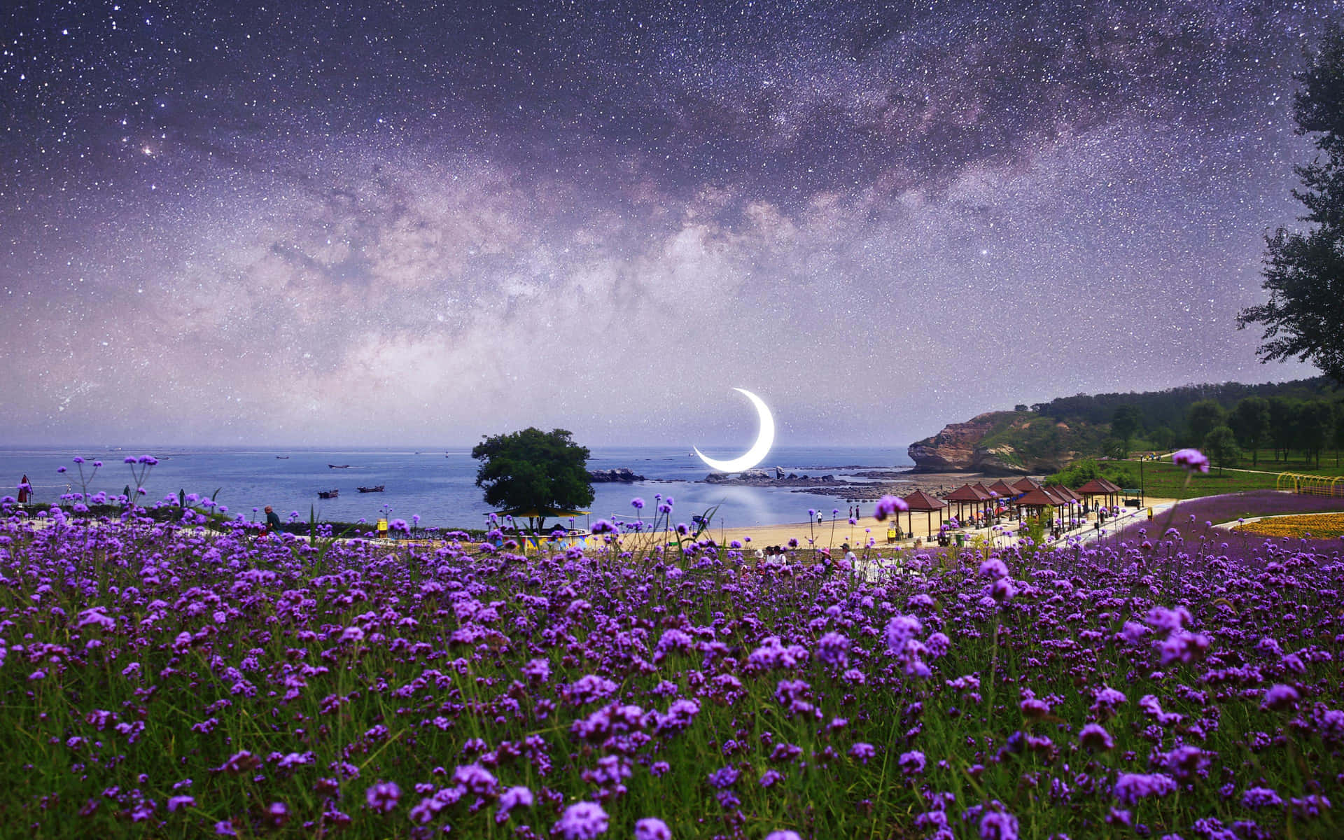 Crescent Moon Over Lavender Field Nightscape Background